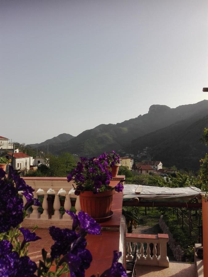 Antica Casa Cavaliere Villa ตรามอนติ ภายนอก รูปภาพ